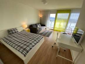 HSH Insel - Deluxe B-Apartment - Bern City next Insel hospital - Balcony and Great view by HSH Hotel Serviced Home